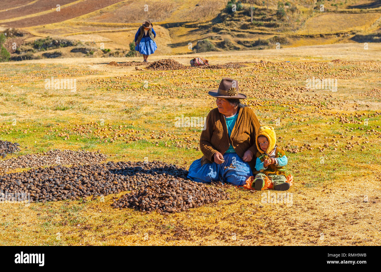 Los pueblos indígenas quechua, en el proceso de secado de las heladas montañas Andes patatas en Chinchero cerca de Cusco, Perú. Foto de stock