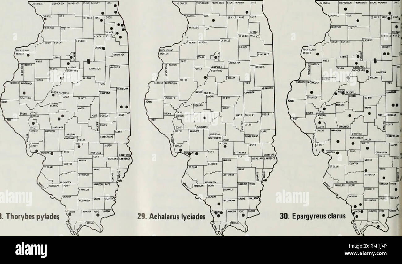 . Lista comentada de las mariposas de Illinois. Las mariposas. 25. Erynnis juvenalis Y^. 28. Thorybes pylades. Por favor tenga en cuenta que estas imágenes son extraídas de la página escaneada imágenes que podrían haber sido mejoradas digitalmente para mejorar la legibilidad, la coloración y el aspecto de estas ilustraciones pueden no parecerse perfectamente a la obra original. Irwin, Roderick R. Urbana, Illinois Natural History Survey Foto de stock