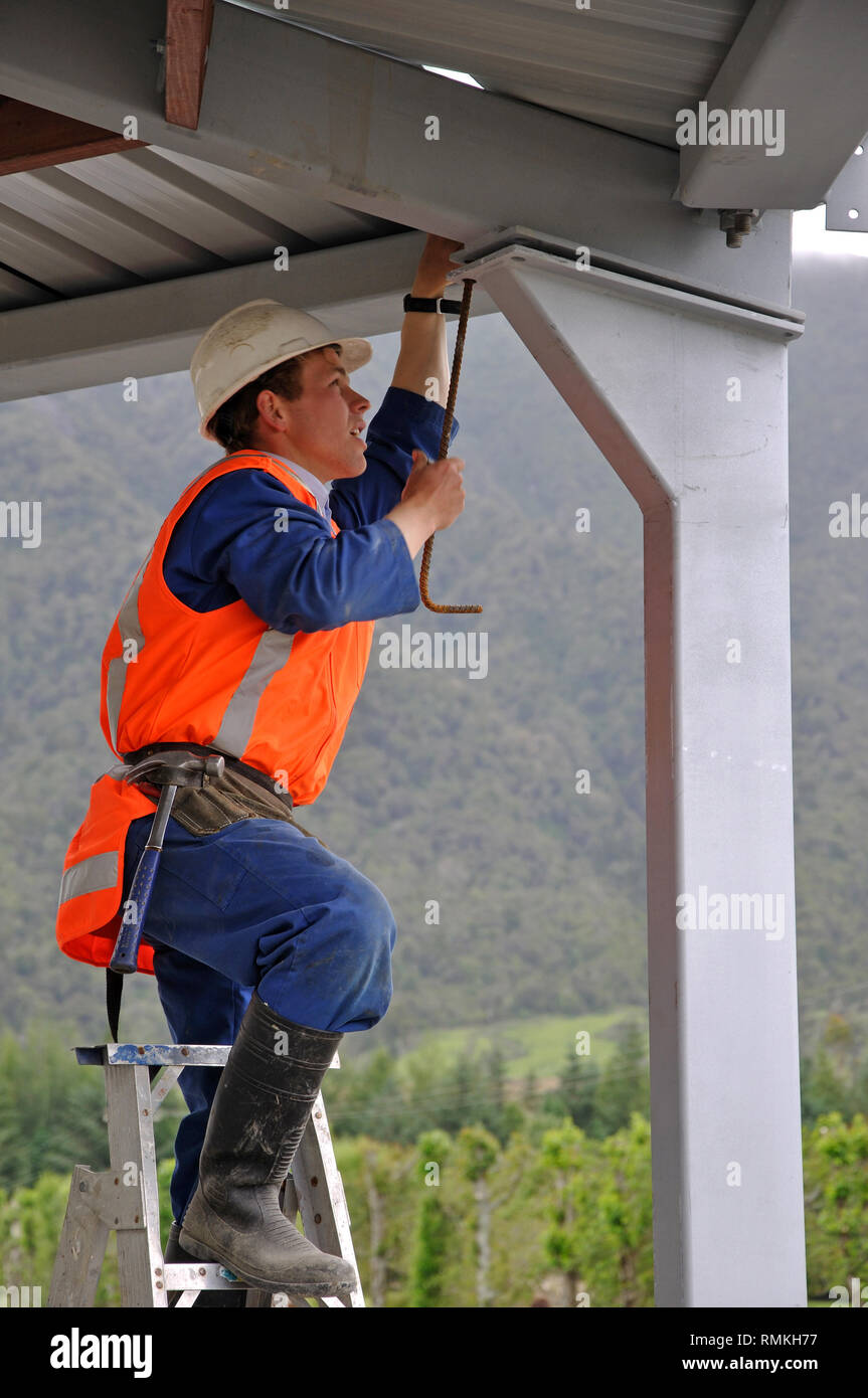 Constructores colocar el techo a medida que se eleva en una lechería, Westland, Nueva Zelanda Foto de stock