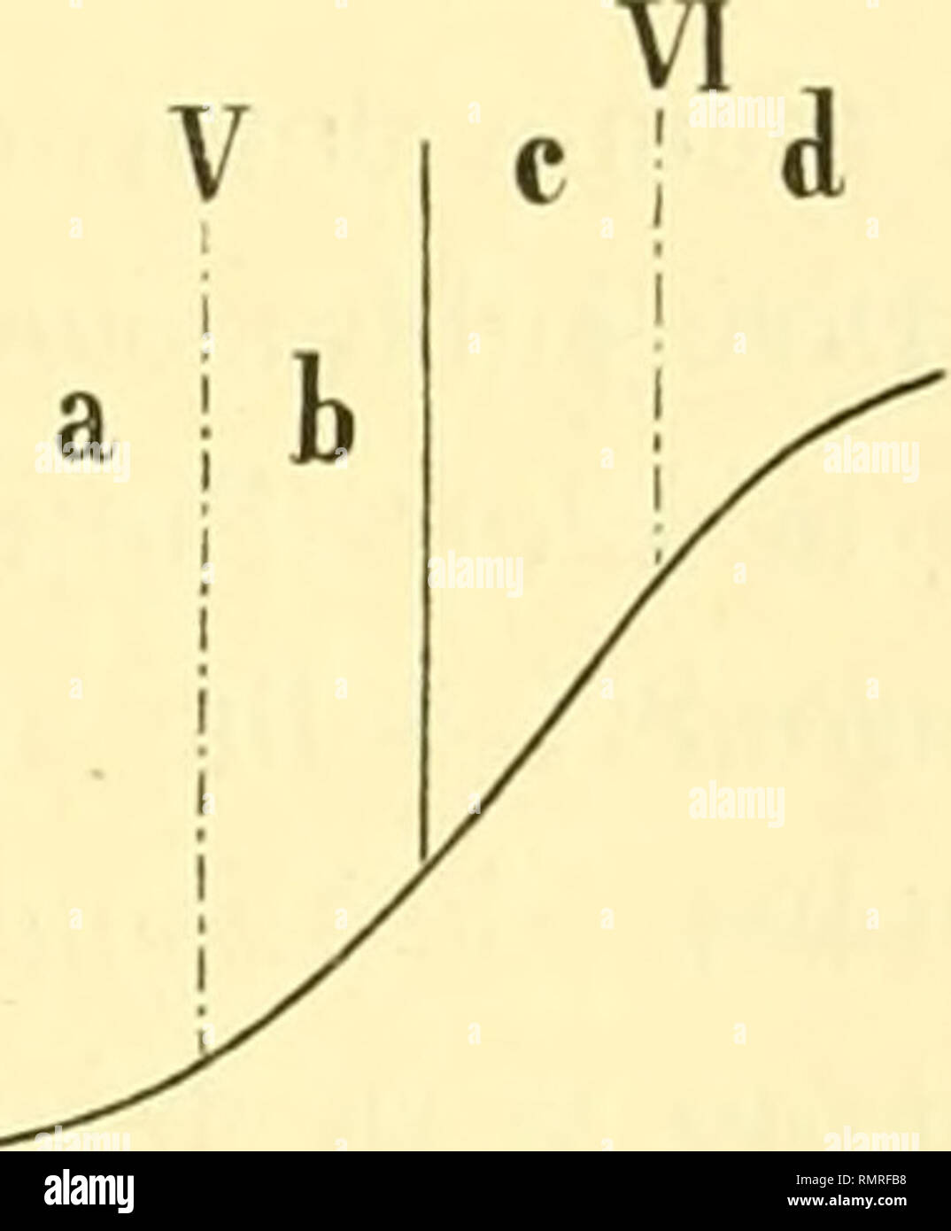 . Annali del Museo civico di storia naturale di Genova. Historia Natural -- publicaciones periódicas. FLORA DEI BACINI PONTINO E AUSONIO 191 le acque di numerosi ruscelli Laziali e le gitta han presso il capo omo- nimo, e quello di Fondi circoscritto dallo spiovente sud Ausonio. Me sono bacini Ambedue terminati da zona littoranea caratte anu- rizzata da onu cordone di duna, da una serie di laghi allineati lungo la costa, salmastri o di acqua dolce, e dalla omogenea, caratteristica vegetazione dei tumiUeti che en questa parte del littorale romano asumir un enorme, insolito sviluppo. En questa zona dal lato della m Foto de stock