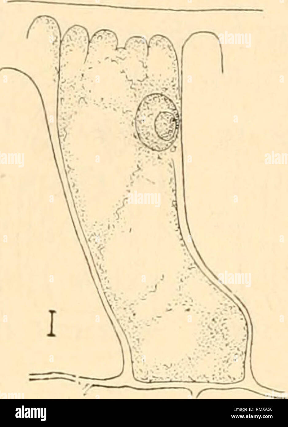 G Ser Fotos E Imagenes De Stock Pagina 7 Alamy