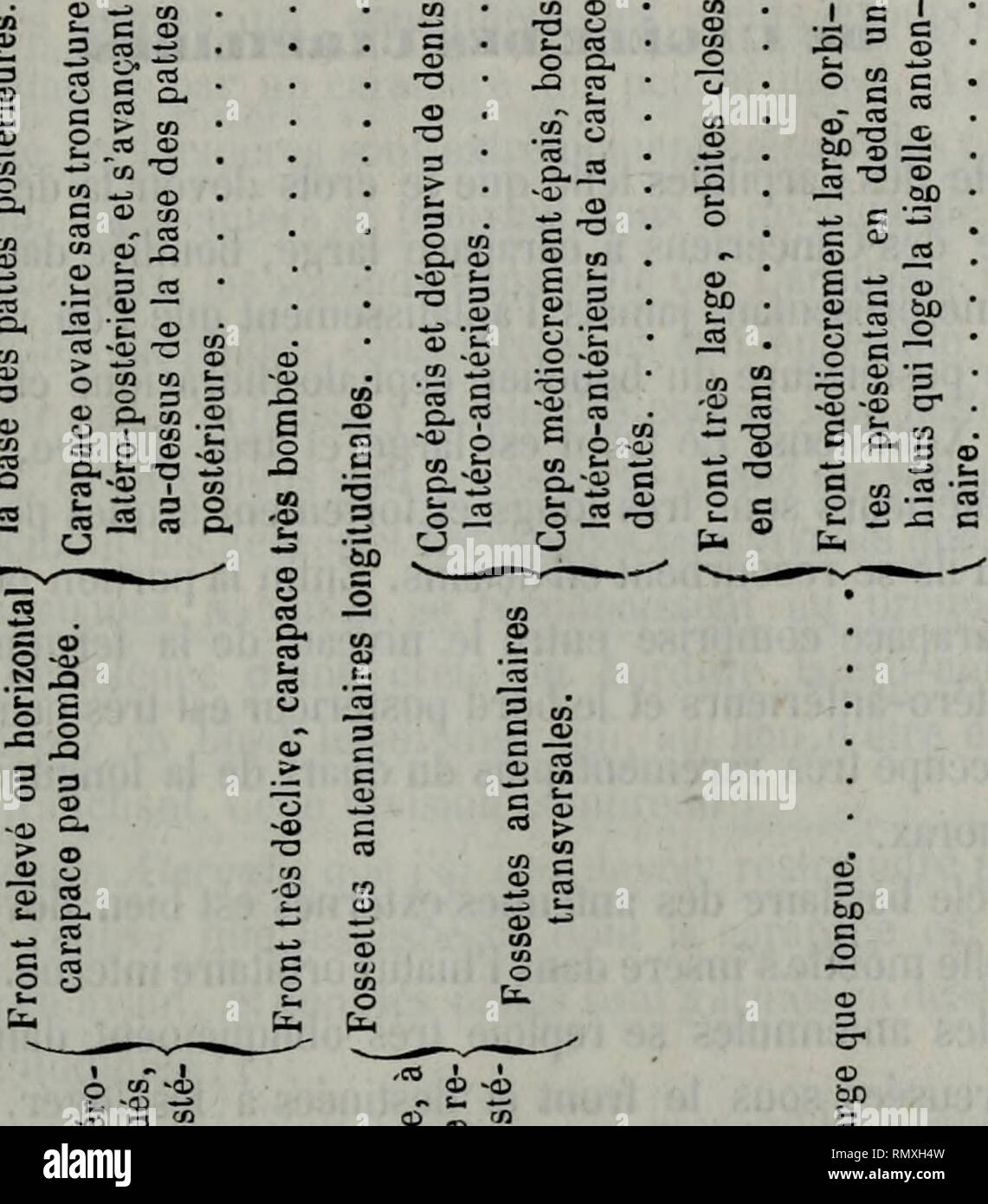 Los Annales Des Sciences Naturelles Canceriens Fossiles A M Lt Un G 2 J M O S O O Lt U I Q A Z U O Oe H