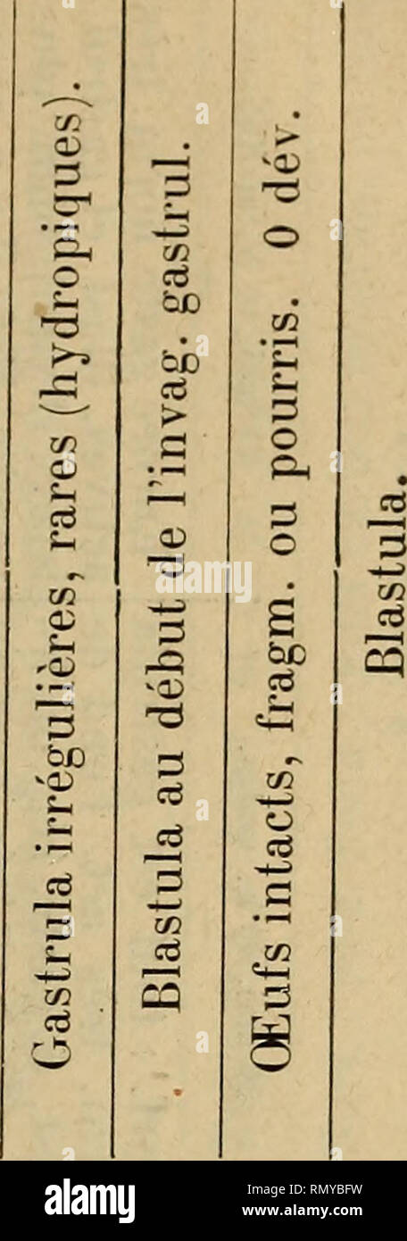 Los Annales Des Sciences Naturelles Zoologia Biologia O G Ce X D 05 Gt 05 3 S Cd Q5 X 3 E 1 J G O Ed 05 Ce Cd