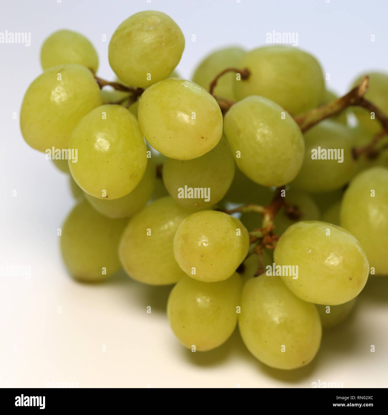 Maduras y jugosas uvas verdes fotografiada en una tabla. Imagen en color de uvas deliciosas y saludables. Closeup tomada con una lente macro. Foto de stock