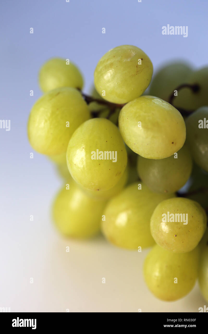 Maduras y jugosas uvas verdes fotografiada en una tabla. Imagen en color de uvas deliciosas y saludables. Closeup tomada con una lente macro. Foto de stock