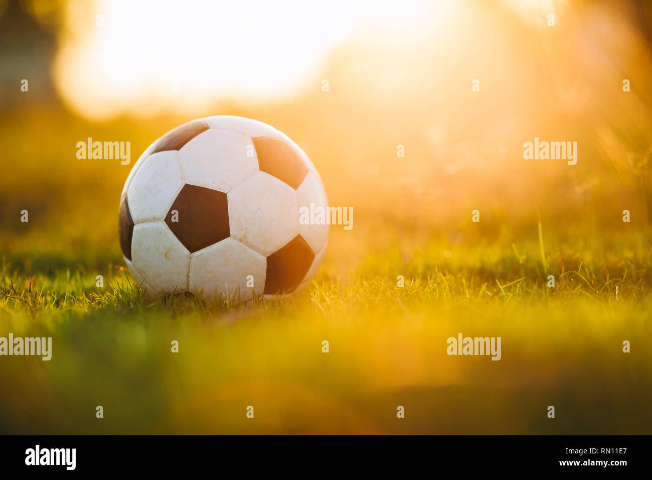 Un balón sobre el verde césped del campo de fútbol de juego bajo el rayo de  luz de sol y la lluvia. Imagen con el área espacial Fotografía de stock -  Alamy