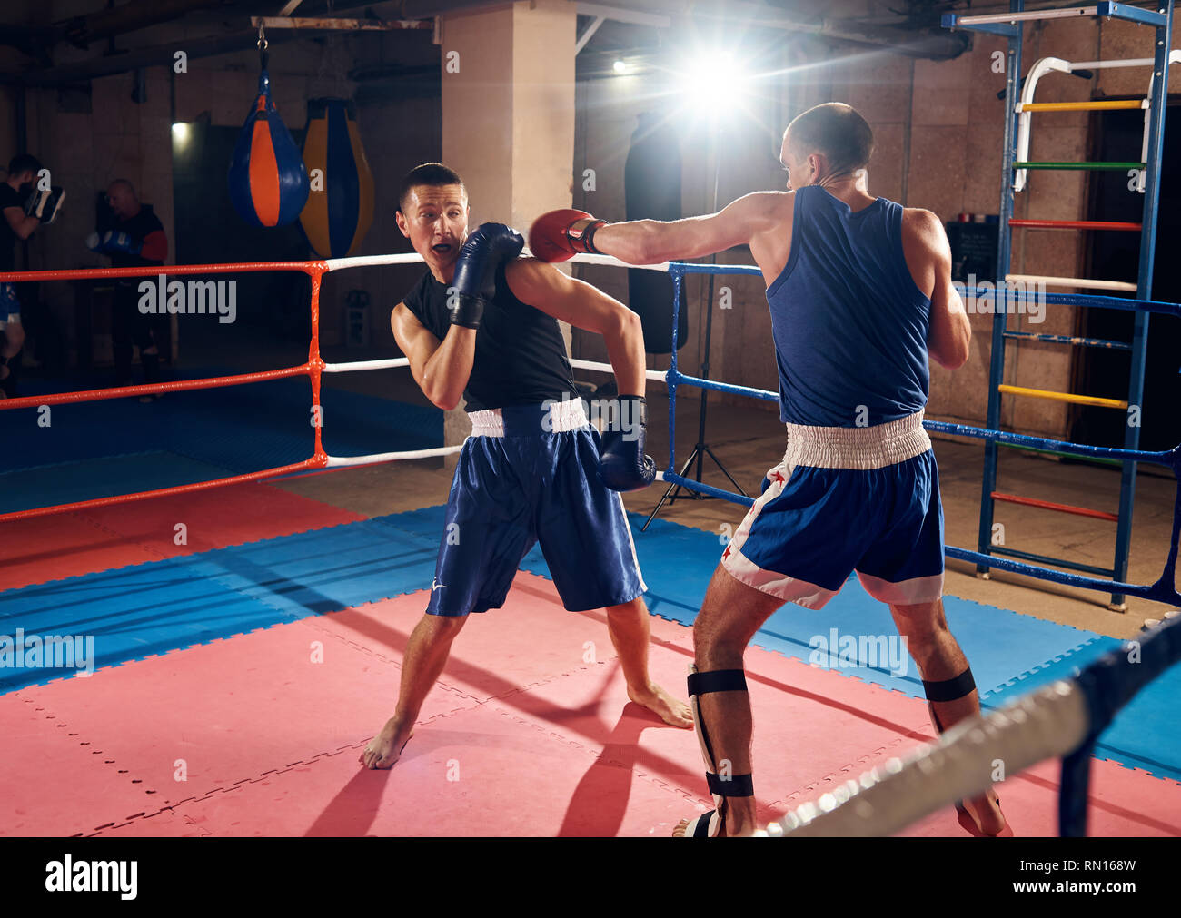 Formación profesional masculina boxer kick boxing con sparring en el anillo en el club deportivo Foto de stock