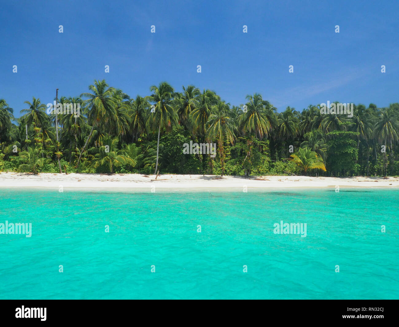 Isla Cayo Zapatilla en Bocas del Toro, Panamá Fotografía de stock - Alamy