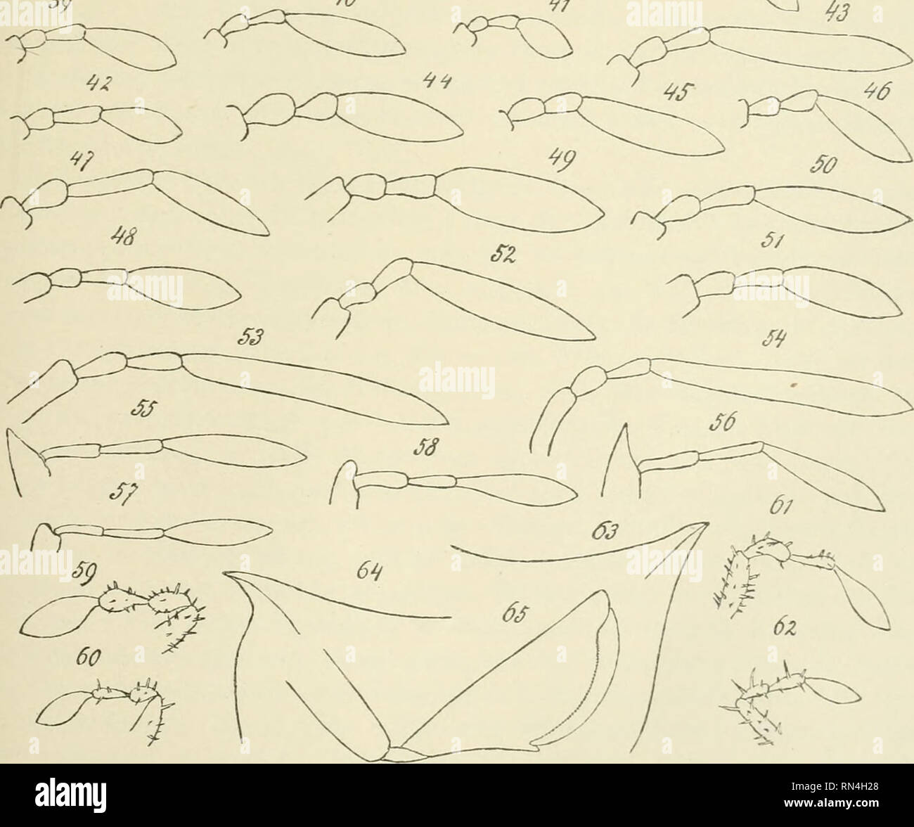 P 3d Illustrations Fotos E Imagenes De Stock Alamy