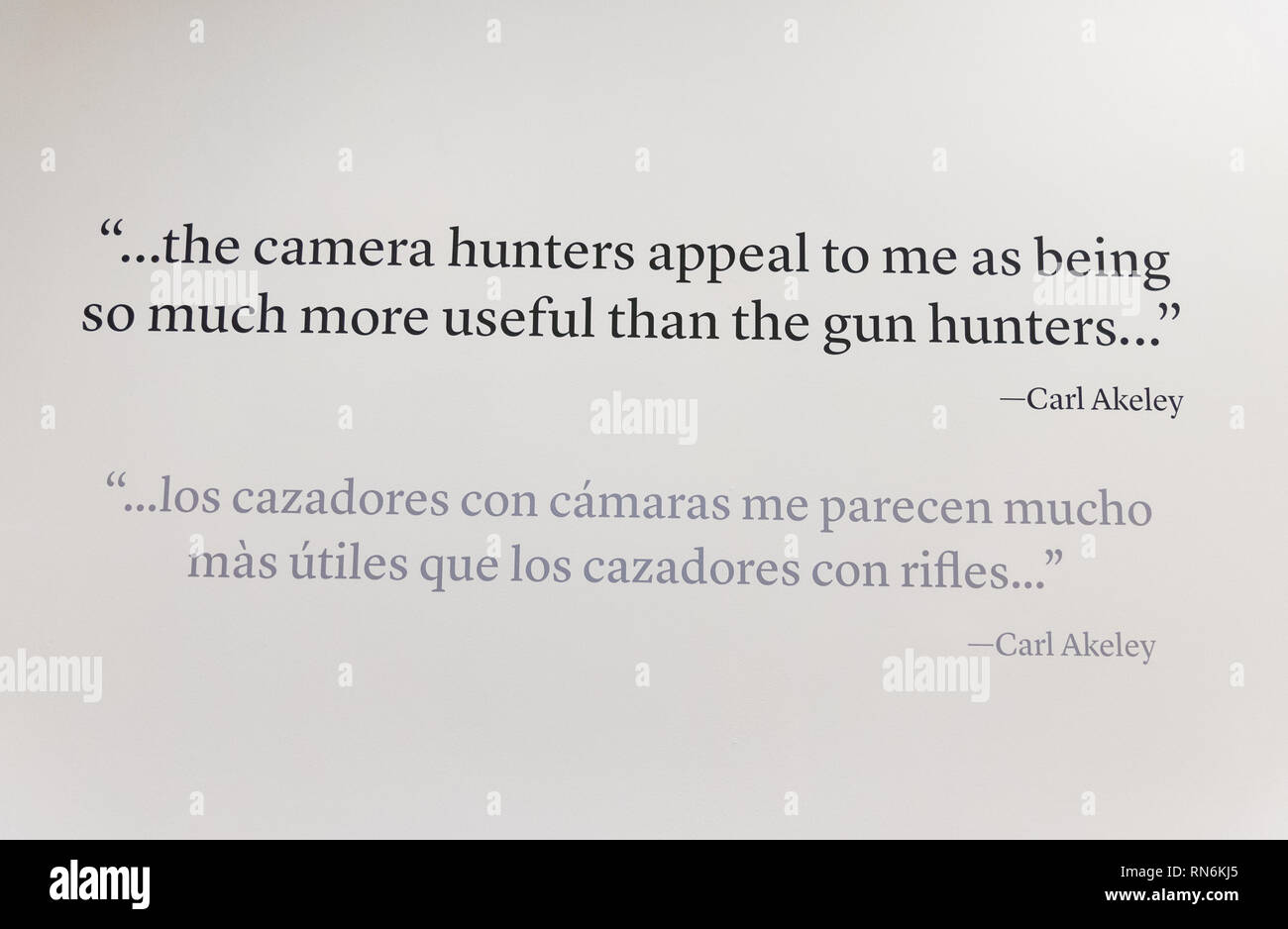 La famosa cita de Carl Akeley, el taxidermista e inventor de una cámara. El Museo Field, Chicago, Illinois, Estados Unidos. Foto de stock