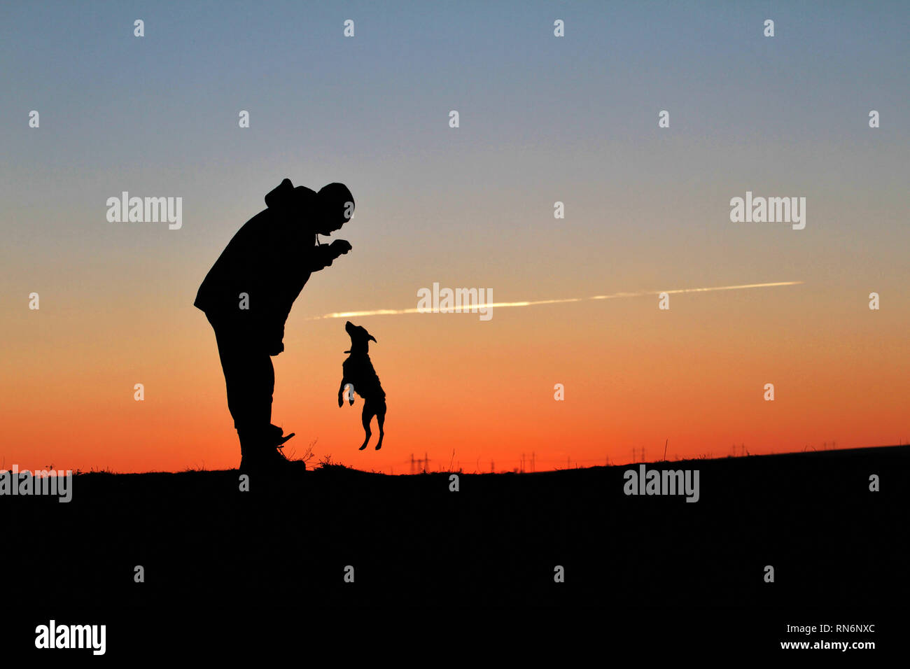 Las siluetas de un hombre y un perro pequeño en un atardecer de fondo. Foto de stock