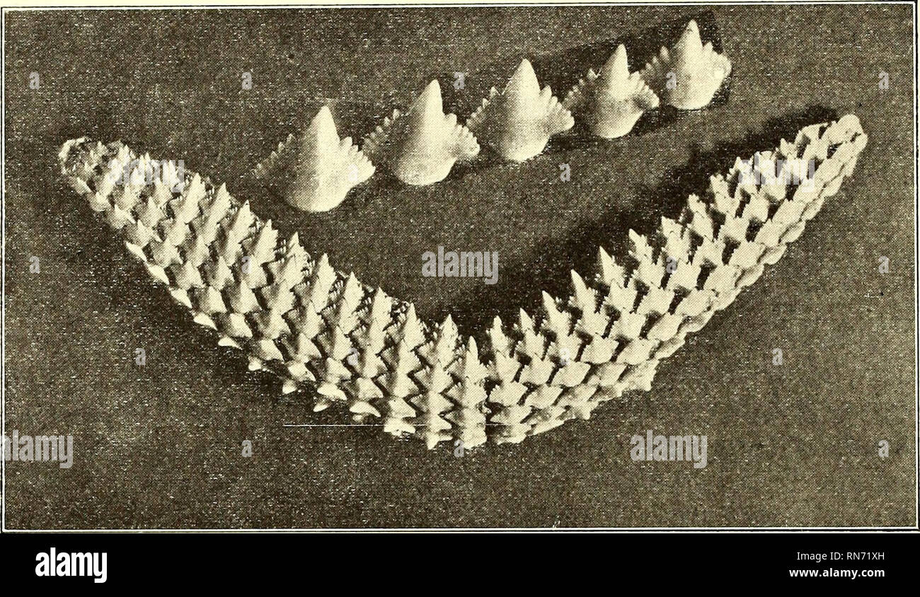 Download Etiqueta jeder HD Etiqueta Jeder