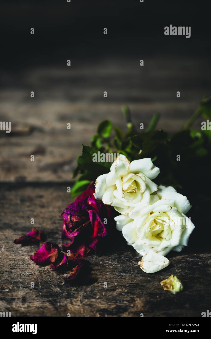 Featured image of post Imagenes De Rosas Blancas Y Rojas Hermosas