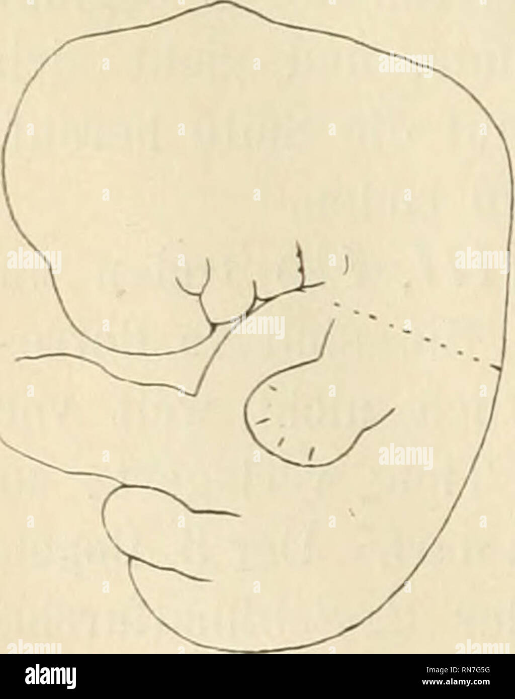 Download Wegnimmt HD Wegnimmt