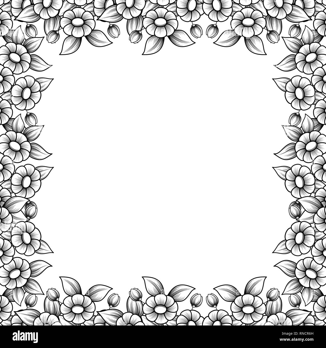 Fondo blanco con contorno cuadrado negro marco floral. Daisy ramos bastidor  con lugar para el texto Imagen Vector de stock - Alamy