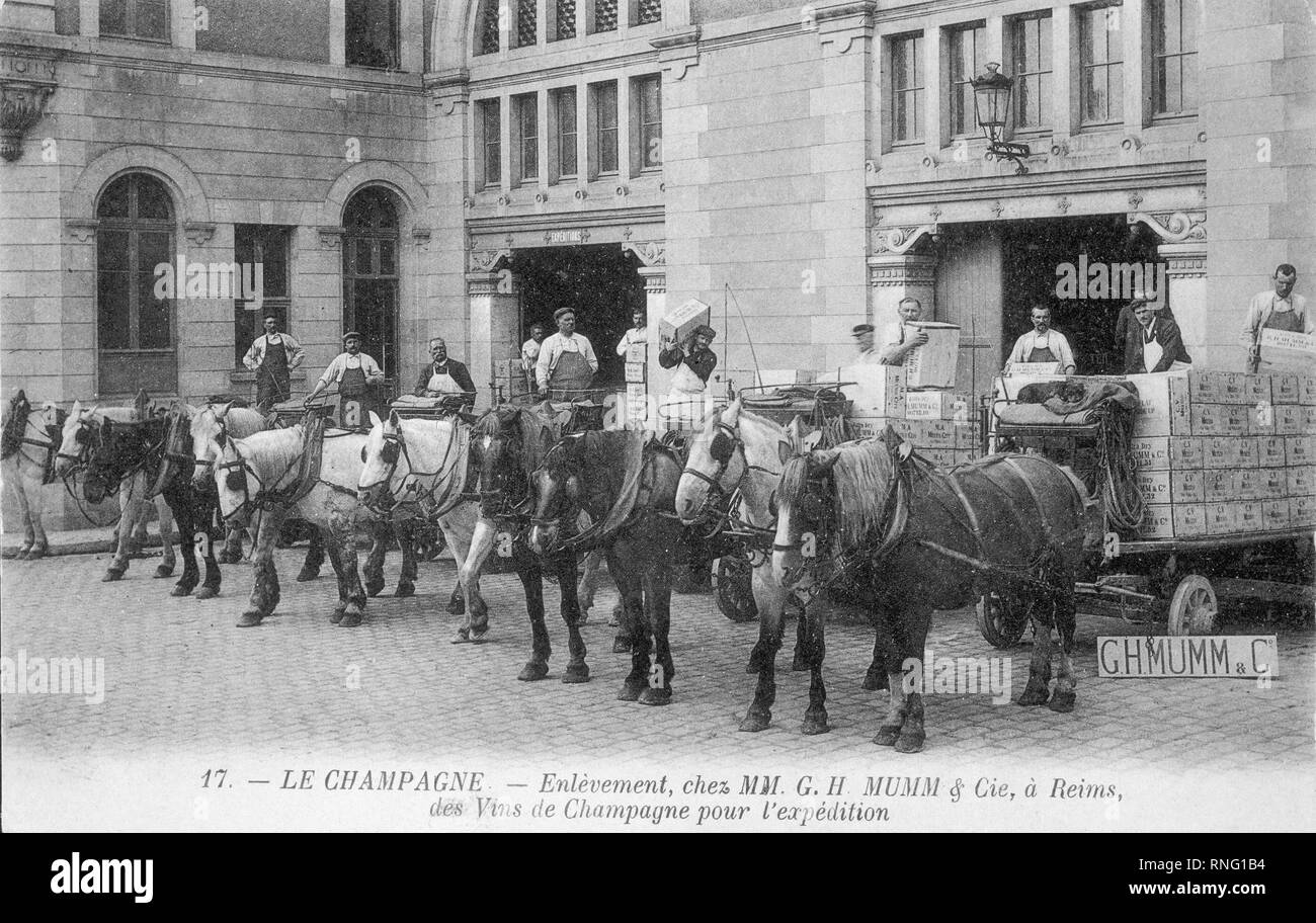 TRABAJADORES cargando cajas de botellas de champán en la bodega "G.H.MUMM & C'. Ubicación: exterior. Avize. Francia. Foto de stock