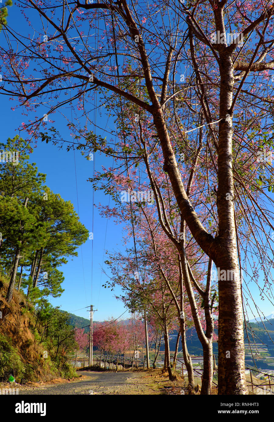 Porto como destino turistico imagenes de paisajes con