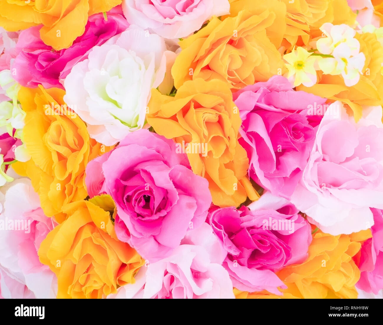Coloridas flores rosas de tela multicolor con copia espacio hermoso fondo  Agregar texto Fotografía de stock - Alamy
