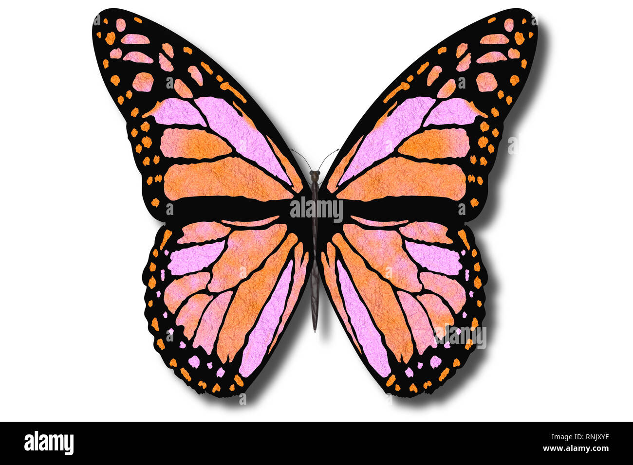 479,947 imágenes, fotos de stock, objetos en 3D y vectores sobre Alas de la  mariposa