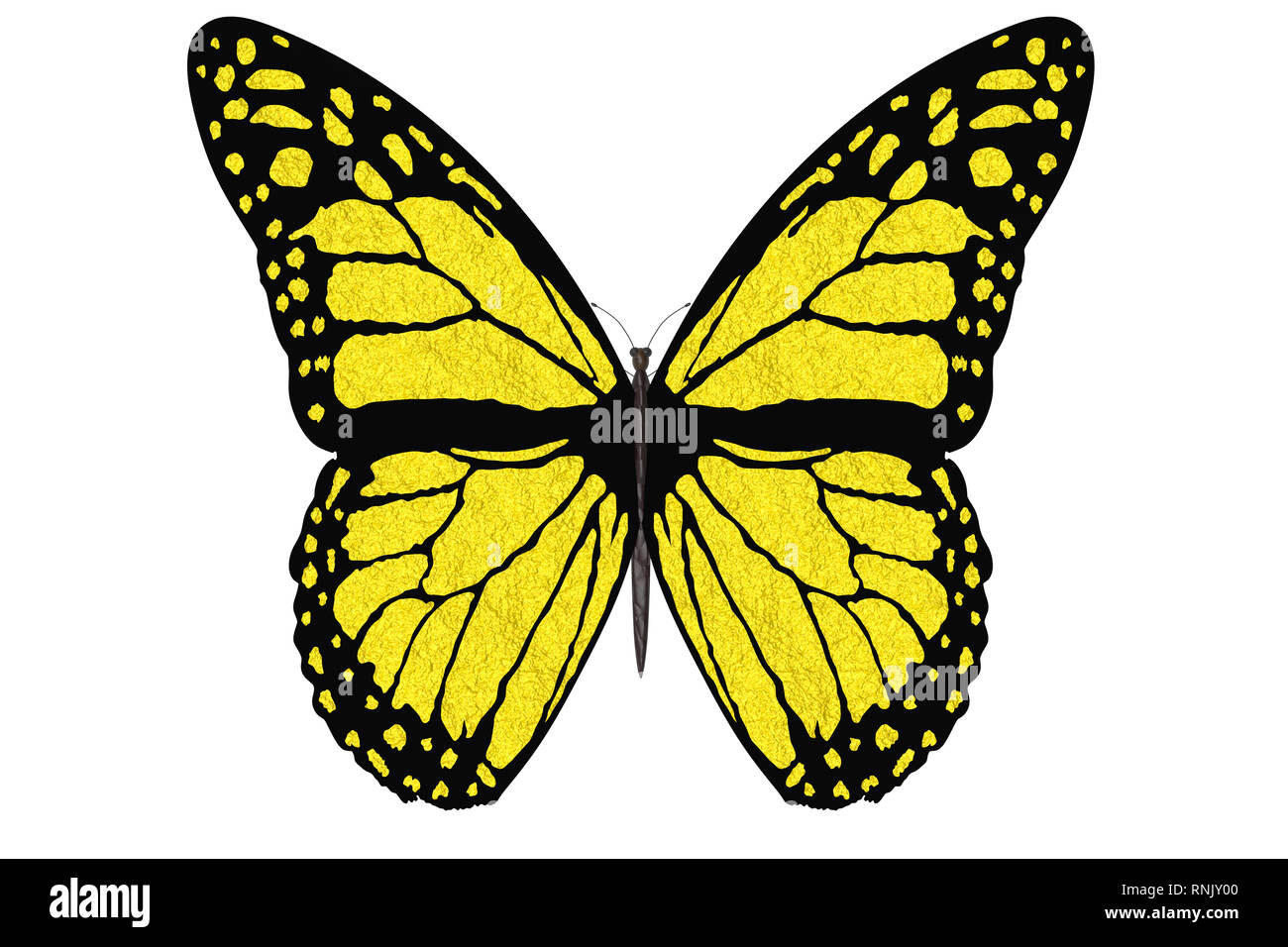 Ilustración 3D. Colorido vuela mariposa con las alas abiertas sobre un fondo blanco. Foto de stock