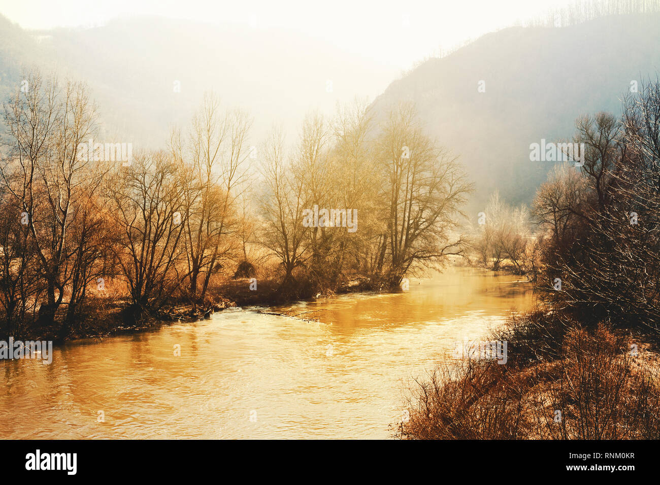 Mañana, escena de una vida aldeana en Serbia, el paisaje del río Morava Occidental durante principios de la primavera. Foto de stock