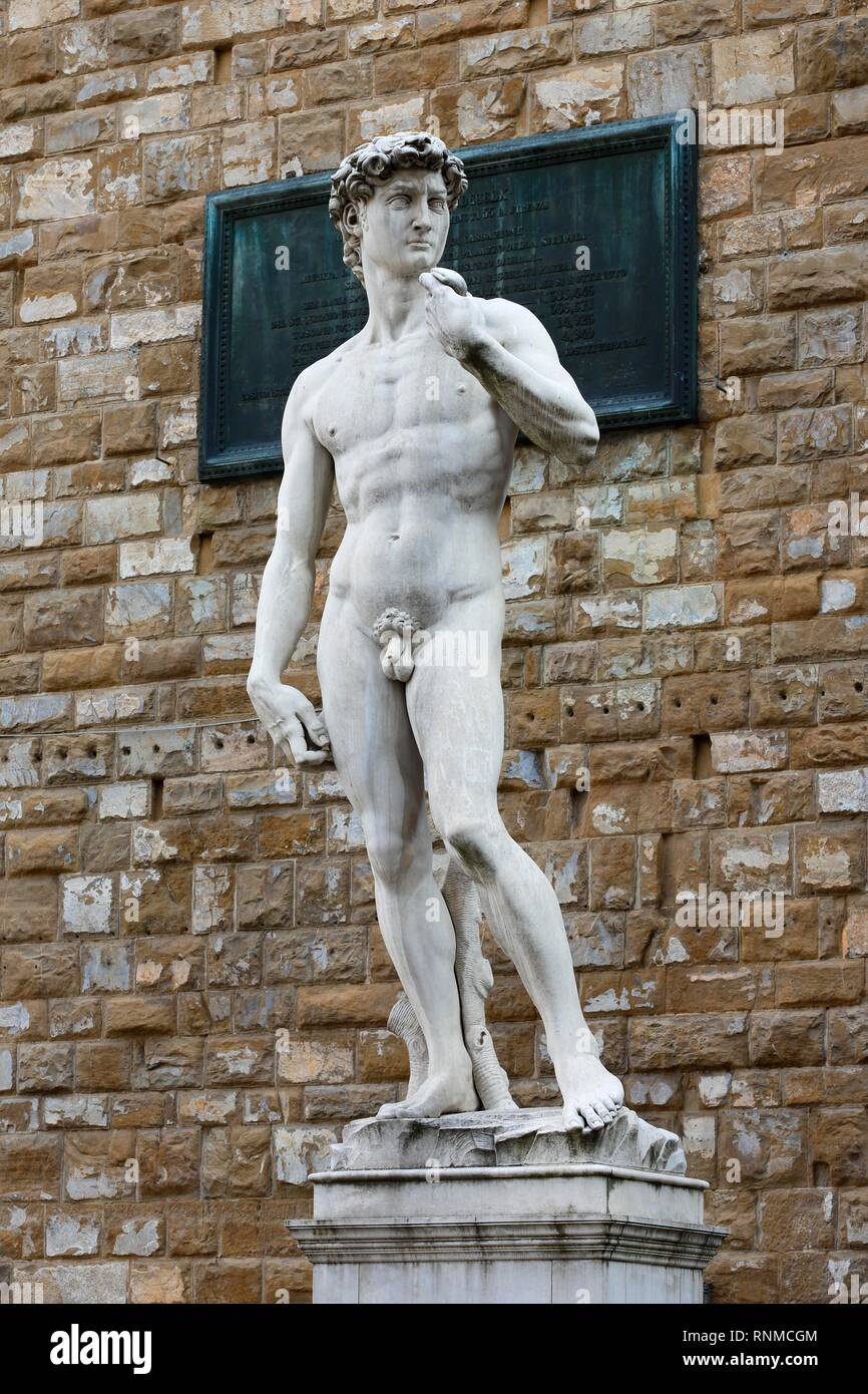 Estatua de mármol del David de Michelangelo delante del Palazzo Vecchio, la Piazza della Signoria, el casco antiguo de la ciudad, Florencia, Toscana, Italia Foto de stock