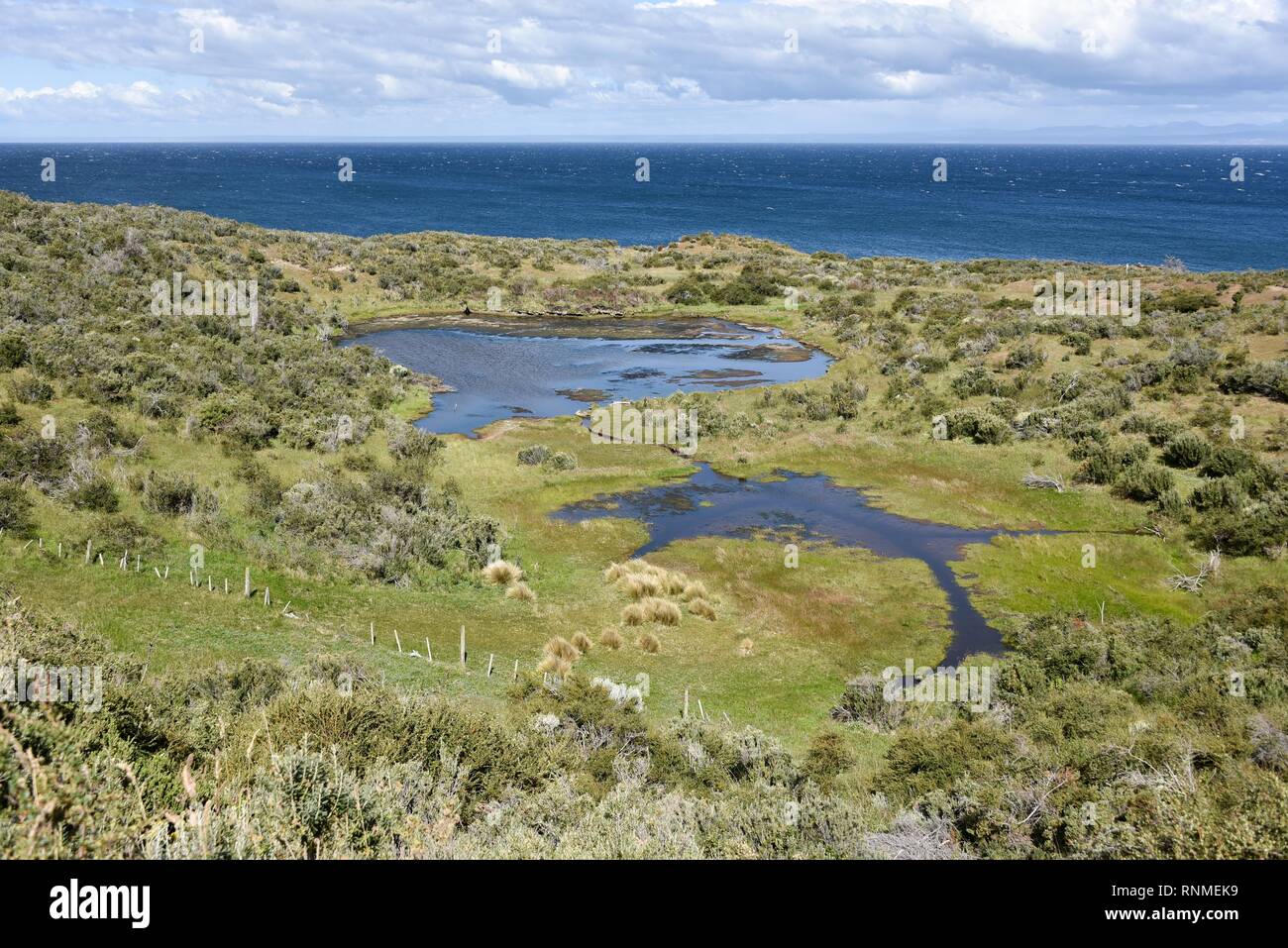 Costa del Estrecho de Magallanes entre Porvinier y Punta Arenas, Patagonia, Chile Foto de stock