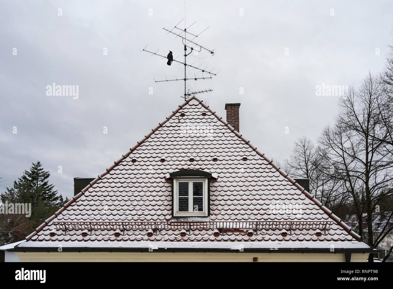 Casa con techo de tejas planas y nieve en invierno, Munich, la Alta Baviera, Baviera, Alemania Foto de stock