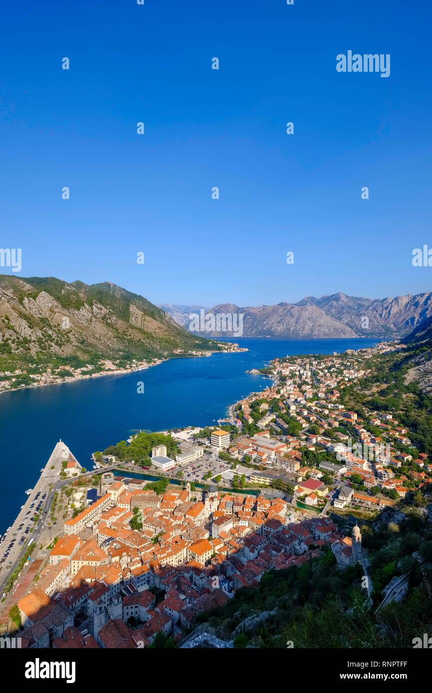 El casco antiguo de Kotor y Dobrota, vista desde la fortaleza Sveti Ivan, bahía de Kotor, Montenegro Foto de stock