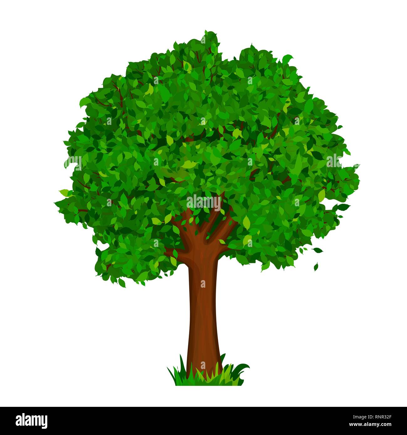 Árbol verde con hojas vector Ilustración del Vector