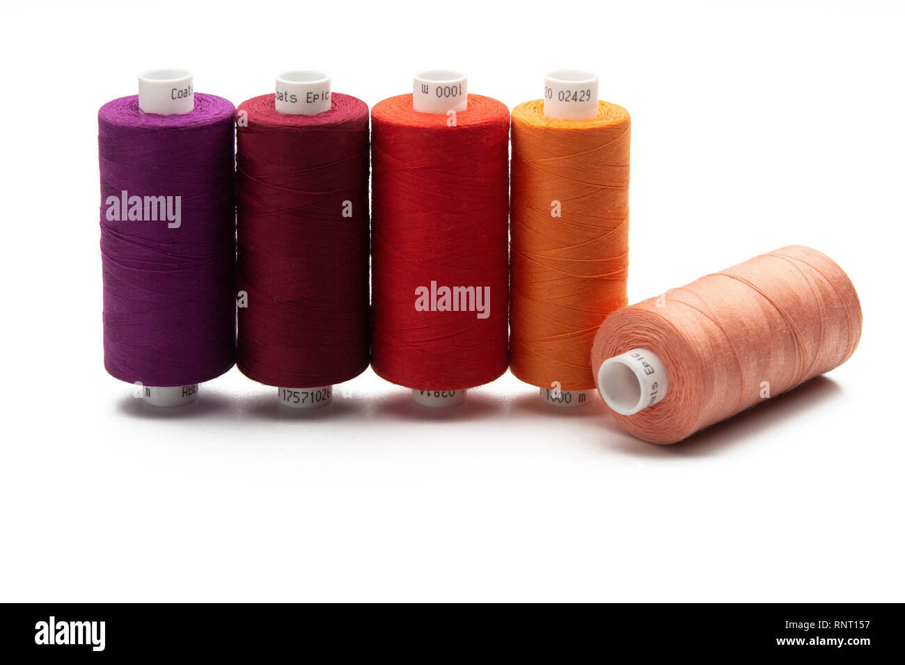 Conjunto de hilos de coser carrete en color sobre fondo blanco aislado Foto de stock