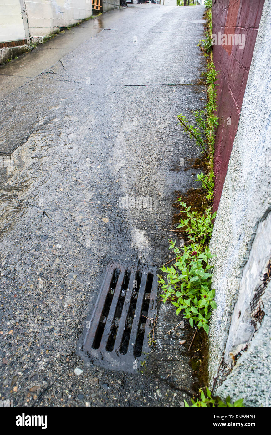 El agua que fluye por una calle a un drenaje de tormentas en un día lluvioso. Foto de stock