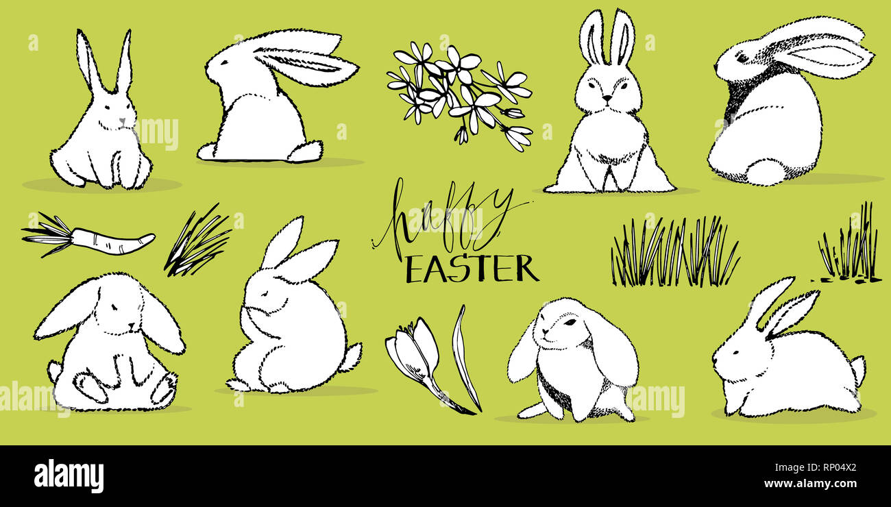 Cute conejos, dibujar a mano ilustración con frases letterings-Feliz  Pascua. Dibujar ilustración postales diseño de lindo conejo Fotografía de  stock - Alamy