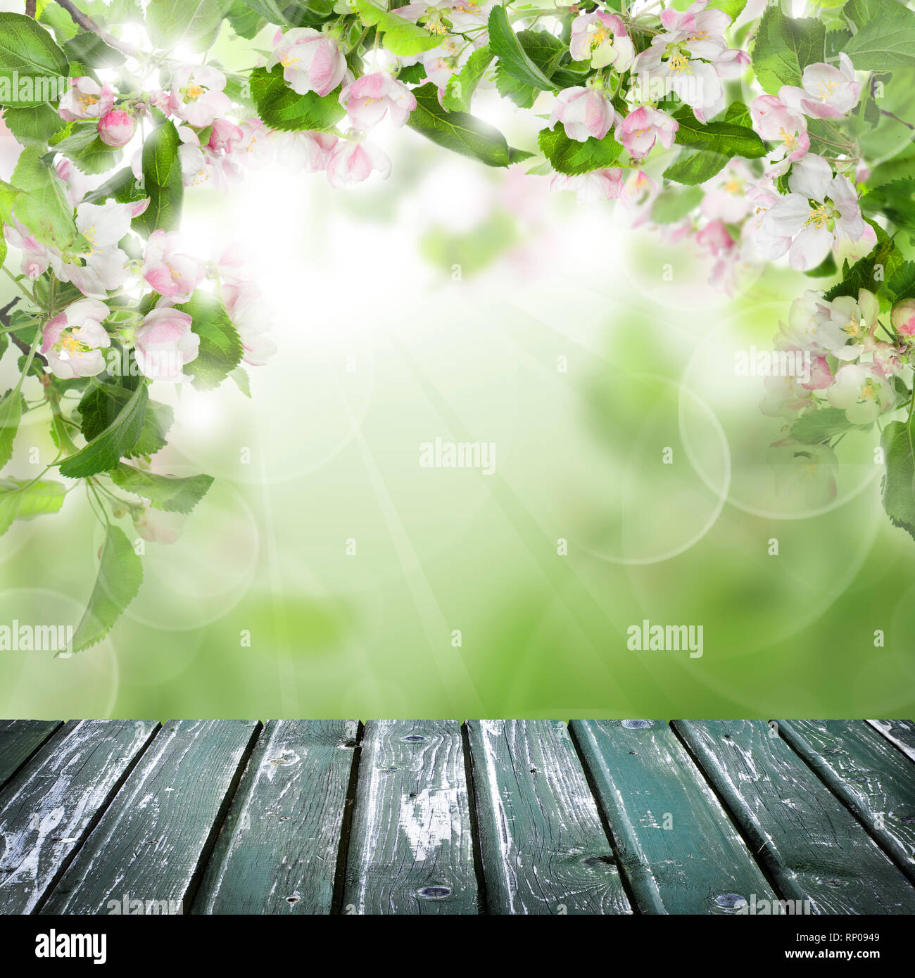 Fondo primavera vintage con mesa de madera, hojas verdes y flores blancas  Fotografía de stock - Alamy