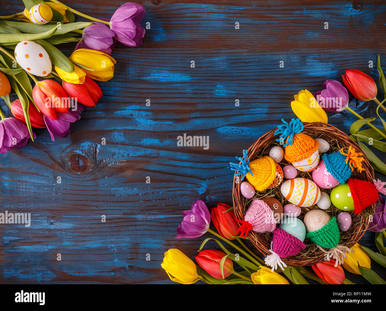 Vacaciones de Pascua postal con un espacio vacío para su texto y frescas flores de tulipán en tablones de madera pintadas de azul Foto de stock