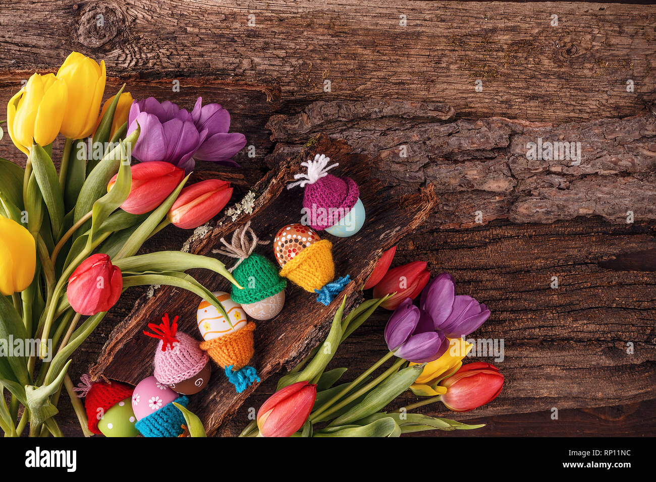 Concepto de vacaciones de Pascua con huevos y tulipanes sobre fondo de madera vieja. Vista desde arriba con espacio de copia Foto de stock
