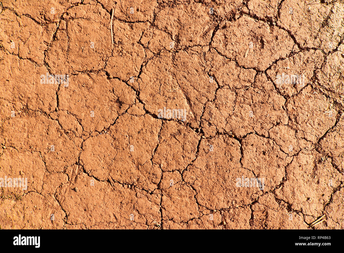 Detalle de la agrietada tierra seca - temporada seca Foto de stock