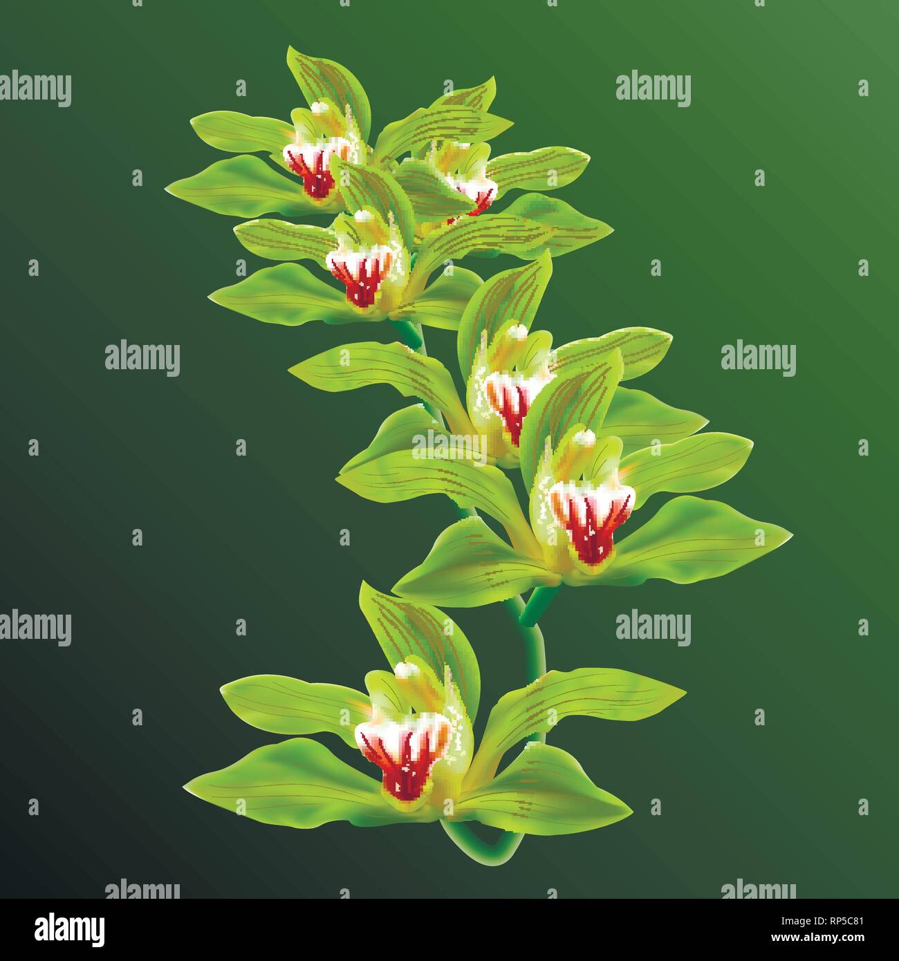 Flores orquídeas verde en rama Vector aislado en el fondo. 3d ralistic  ilustración para Cartel, tarjeta de invitación, comercial Imagen Vector de  stock - Alamy