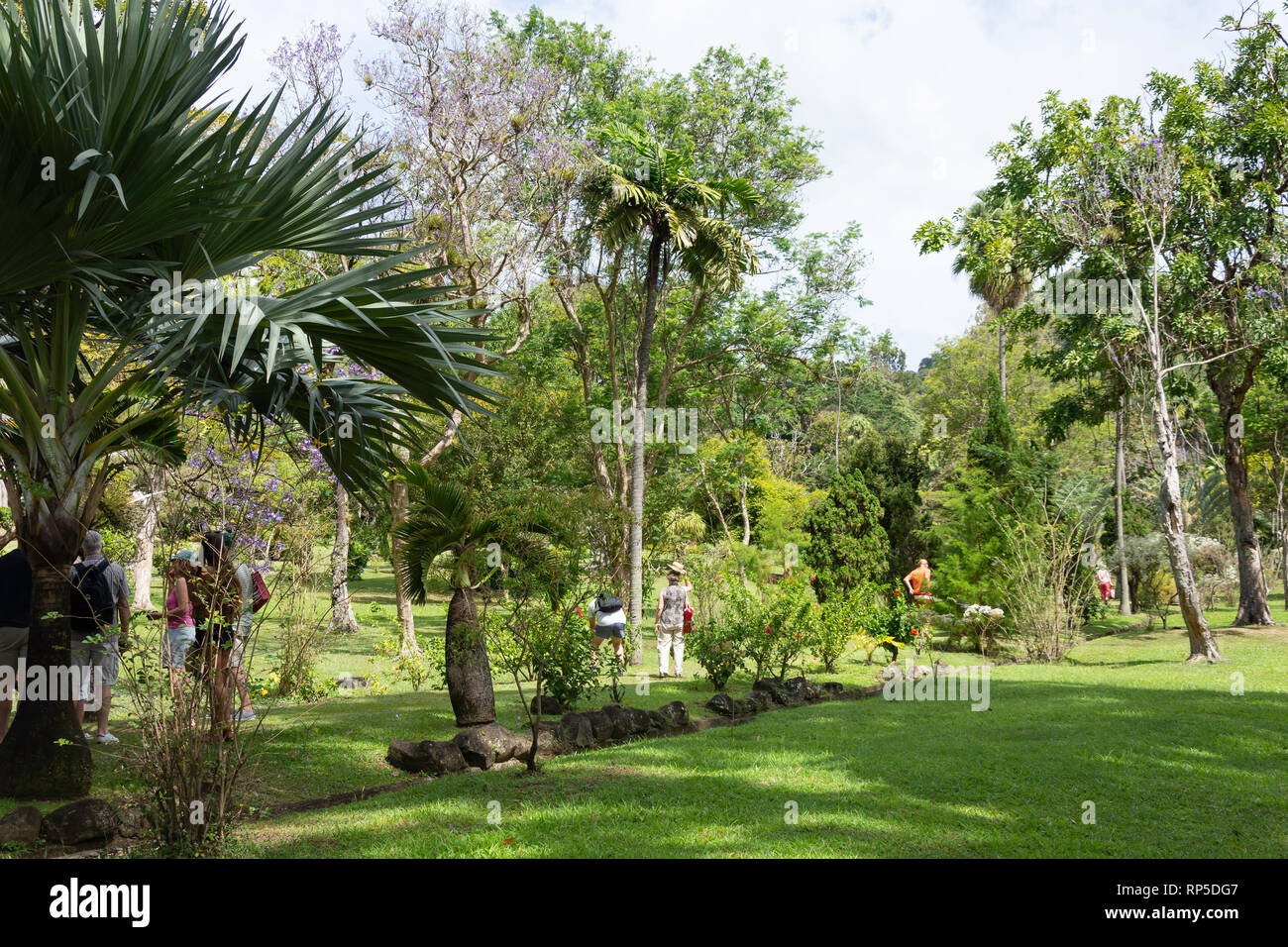 Los Jardines Botánicos de San Vicente, Kingston, San Vicente y las Granadinas, Antillas, Caribe Foto de stock