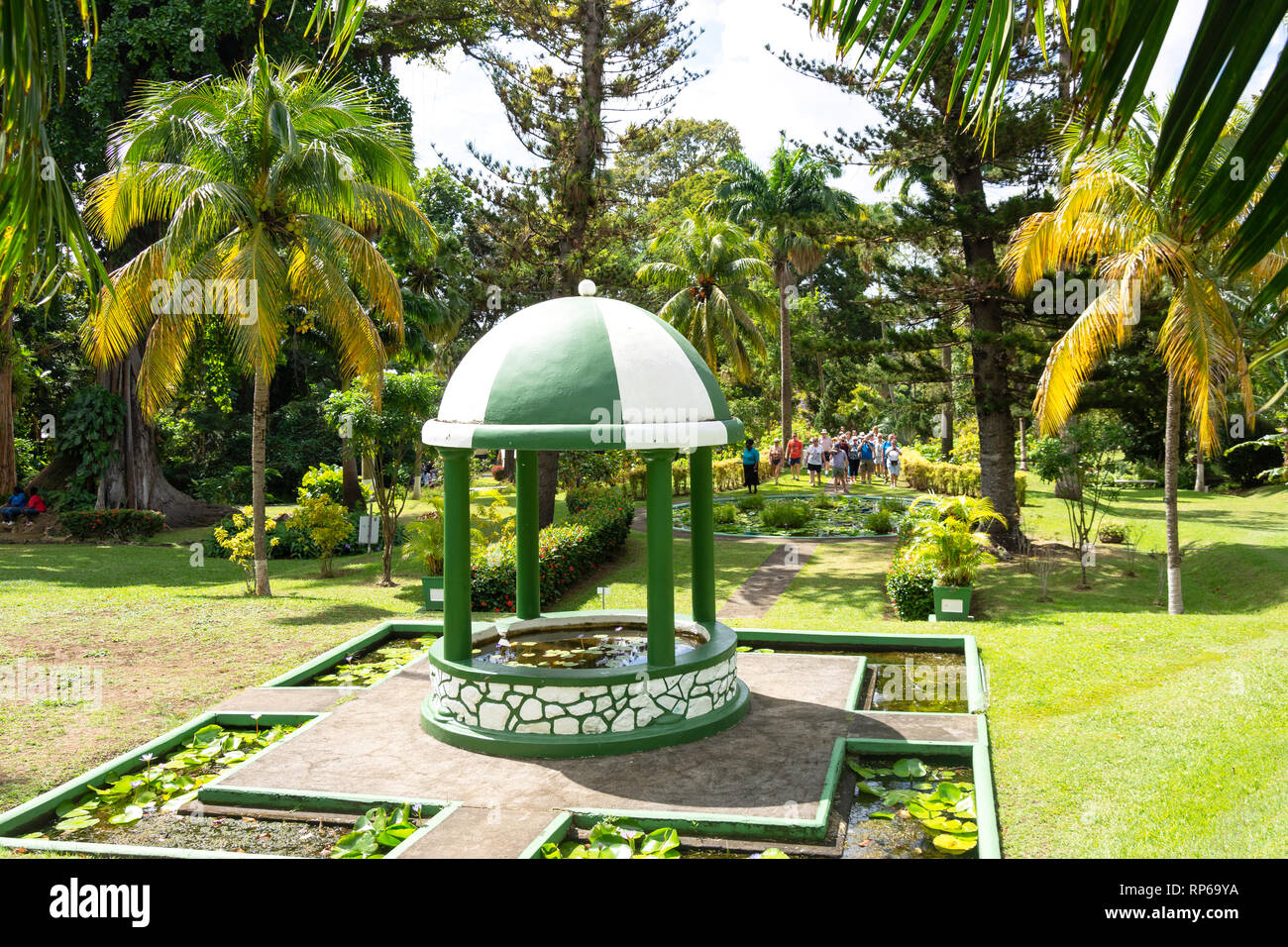 Estanques de lirios en los Jardines Botánicos de San Vicente, Kingston, San Vicente y las Granadinas, Antillas, Caribe Foto de stock