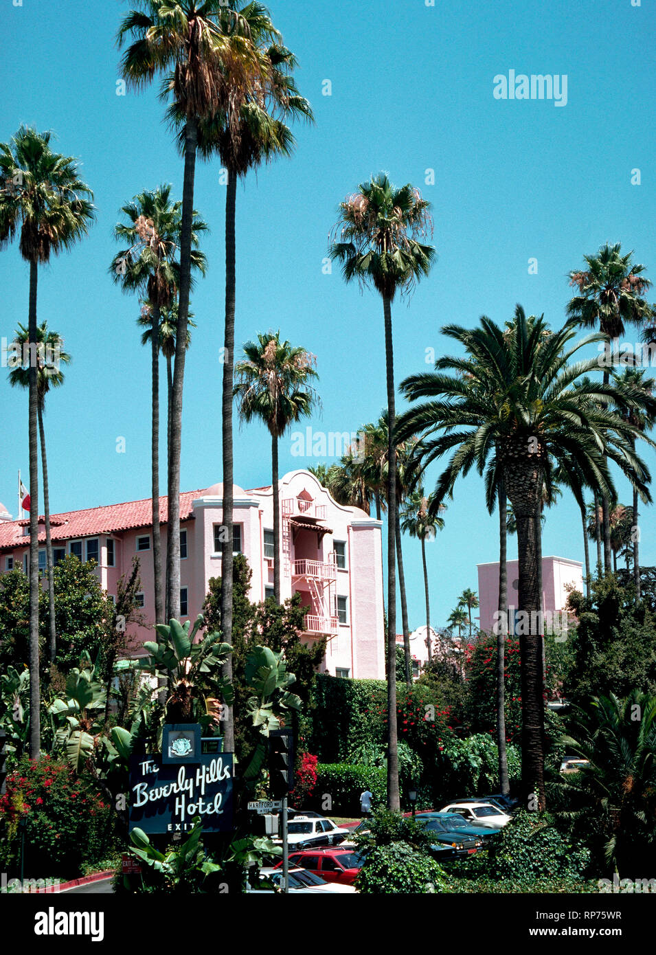 Bastidor de palmeras algunas de la fachada rosa del famoso Hotel de Beverly Hills, que ha sido el hogar de las estrellas de cine y otras celebridades desde que abrió en 1912, dos años antes de su homónimo de la ciudad de Beverly Hills fue incorporada en el condado de Los Angeles, California, Estados Unidos. Hoy en día el lujoso hotel es conocido como el Palacio Rosa y dispone de 210 habitaciones y 23 bungalows apartada rodeada por 12 acres (4.86 hectáreas) de exuberantes jardines tropicales y flores exóticas. Las estrellas de Hollywood se ven a menudo en su principal restaurante spot, el Polo Lounge. Foto de stock
