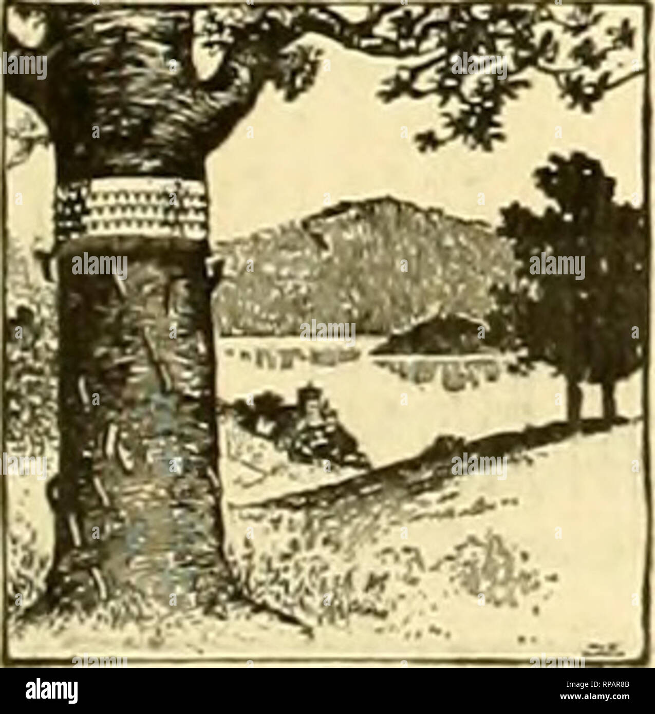 La florería americana : una revista semanal para el comercio. La floricultura; floristerías. El ARNDT PROTECTOR DEL ÁRBOL. Una perfecta protección contra todos baratos rampante crawliDi aod; insectos. Agentes por doquier; La florería americana : una revista semanal para el comercio. La floricultura; floristerías. El ARNDT PROTECTOR DEL ÁRBOL. Una perfecta protección contra todos baratos rampante crawliDi aod; insectos. Agentes por doquier;