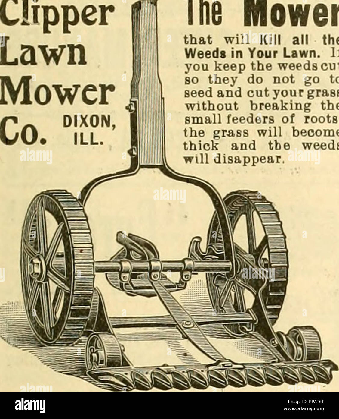 . La florería americana : una revista semanal para el comercio. La floricultura; floristerías. /Poj. La American Floristería. 935 Clipper Cortacésped Co. la segadora que matará todas las cizañas en el césped. Si mantiene la hierba cortada 80 no van a las semillas y cortar su césped sin romper los pequeños alimentadores de raíces, la hierba se convertirá en la maleza espesa y desaparecerá. El cortapelos lo hará. Pregunte a su distribuidor para ellos. Il tbey no tienen ellos, a continuación es el prica: n° 1-12-iQ segadora, $5; Nº 2-ES. Segadora, $-5; No 3-18 io. Segadora, 87; nº 4 3l. Segadora, $8. Enviar el proyecto, dinero-orderor reg. Carta de peticiones. Foto de stock