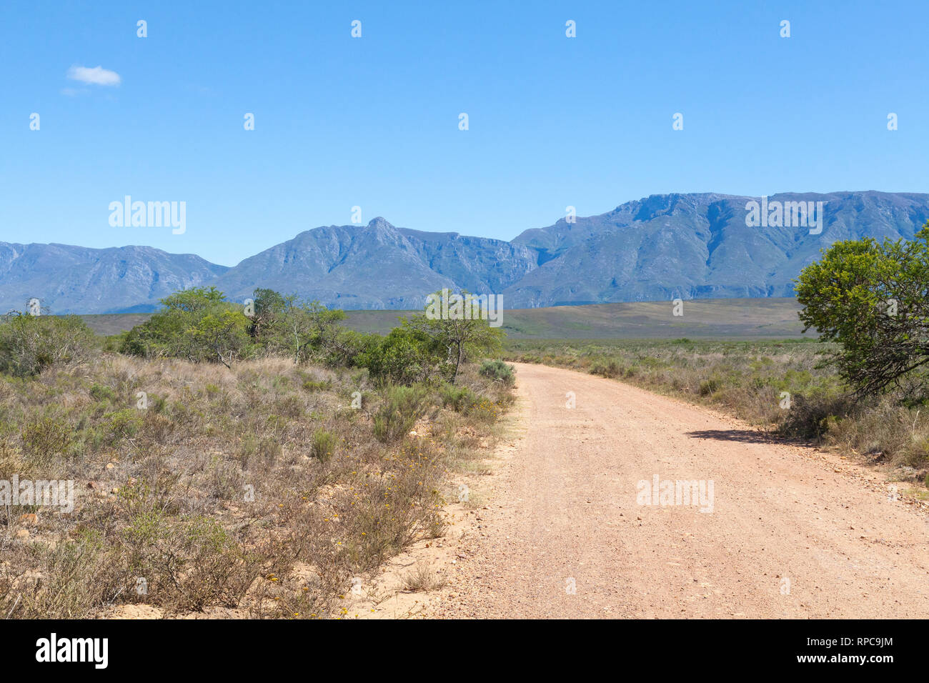 Vista del paisaje de las montañas Langeberg y vegetación de fynbos renosterveld el Parque Nacional Bontebok, Western Cape, Sudáfrica Foto de stock