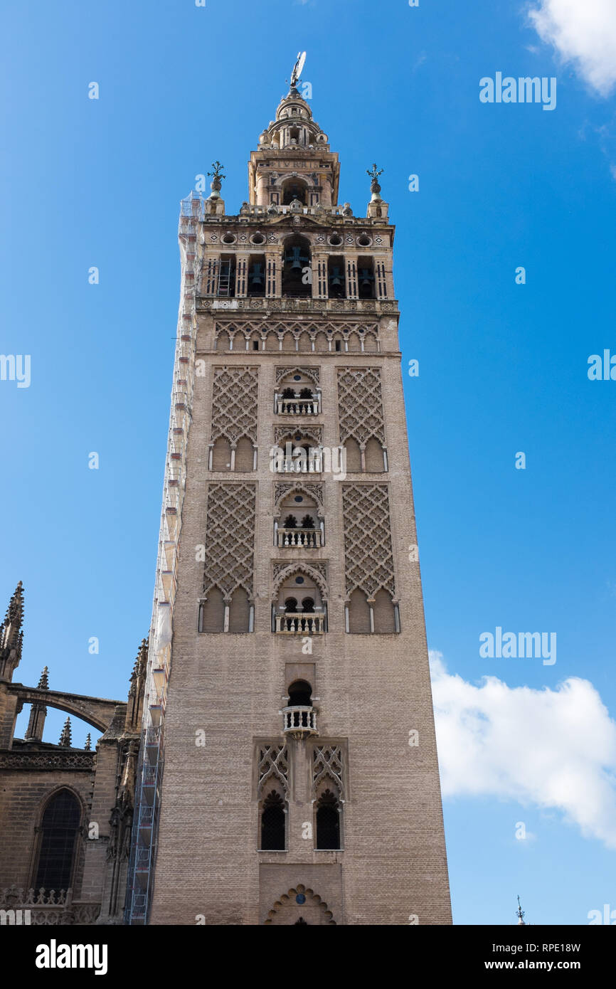 La Giralda, la Torre del Campanario adjunta a la Catedral de Sevilla Foto de stock