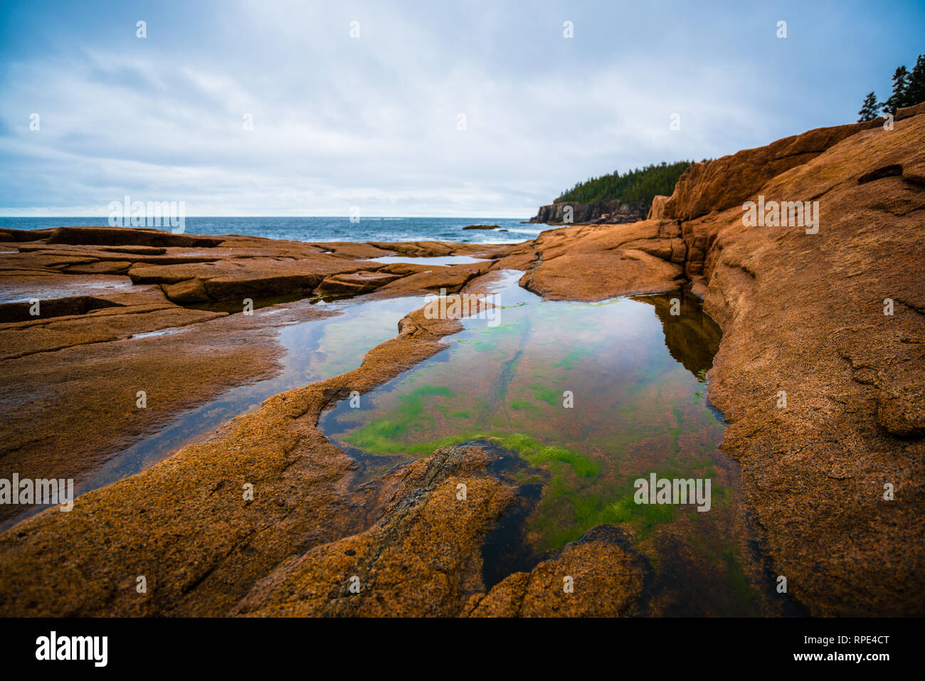 Vista desde la costa en el Parque Nacional de Acadia, Maine Foto de stock