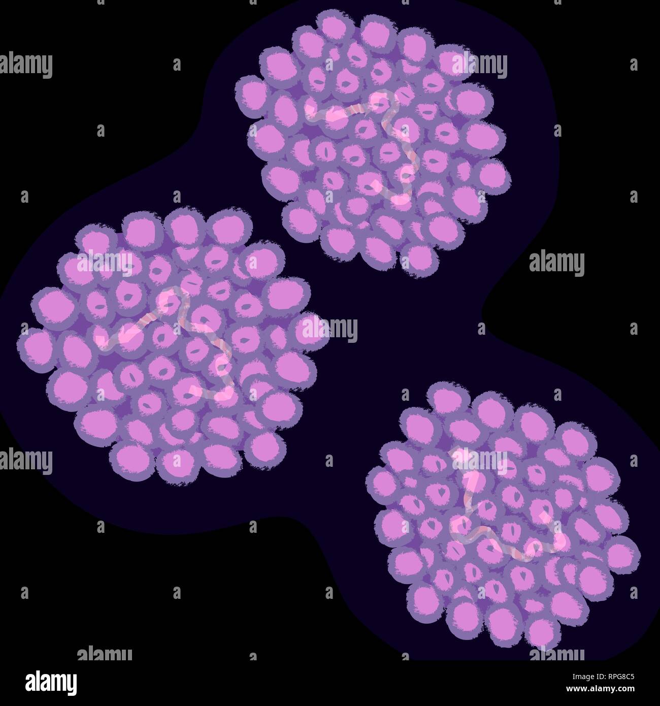 El virus del papiloma humano sobre fondo oscuro, ilustración vectorial Ilustración del Vector