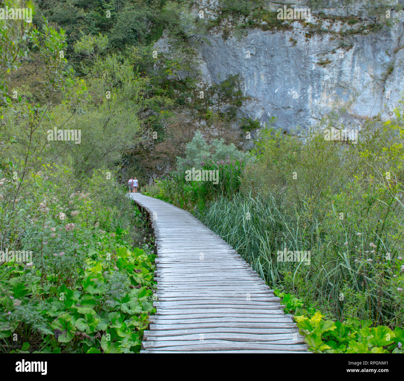 Uno de los muchos senderos de madera que llevan miles de visitantes a través de la belleza del parque nacional de los Lagos de Plitvice en Croacia Foto de stock