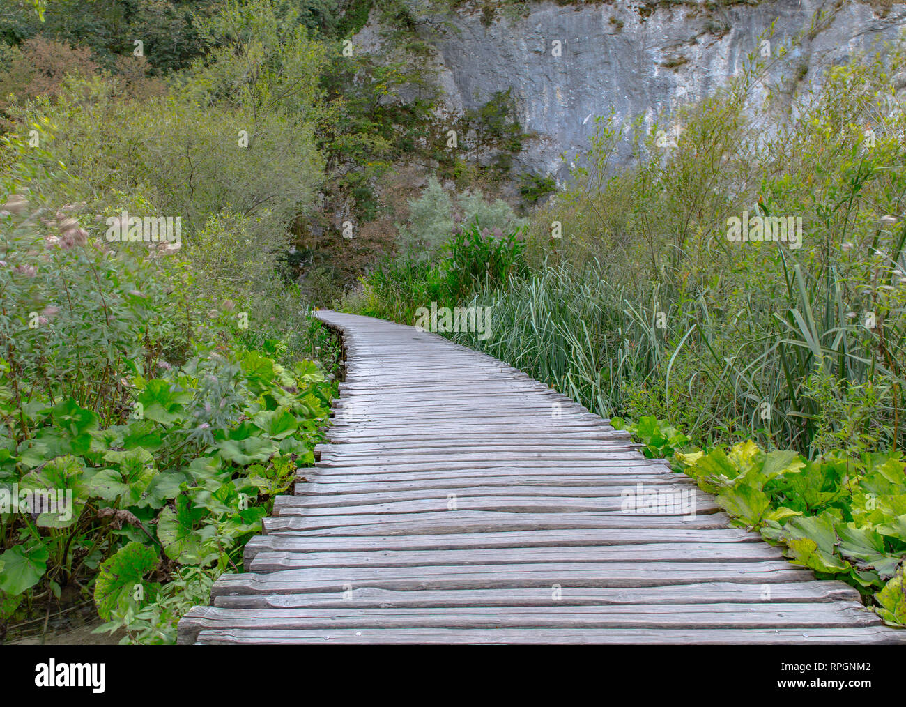 Uno de los muchos senderos de madera que llevan visitantes througt la belleza del parque nacional de los Lagos de Plitvice en Croacia Foto de stock