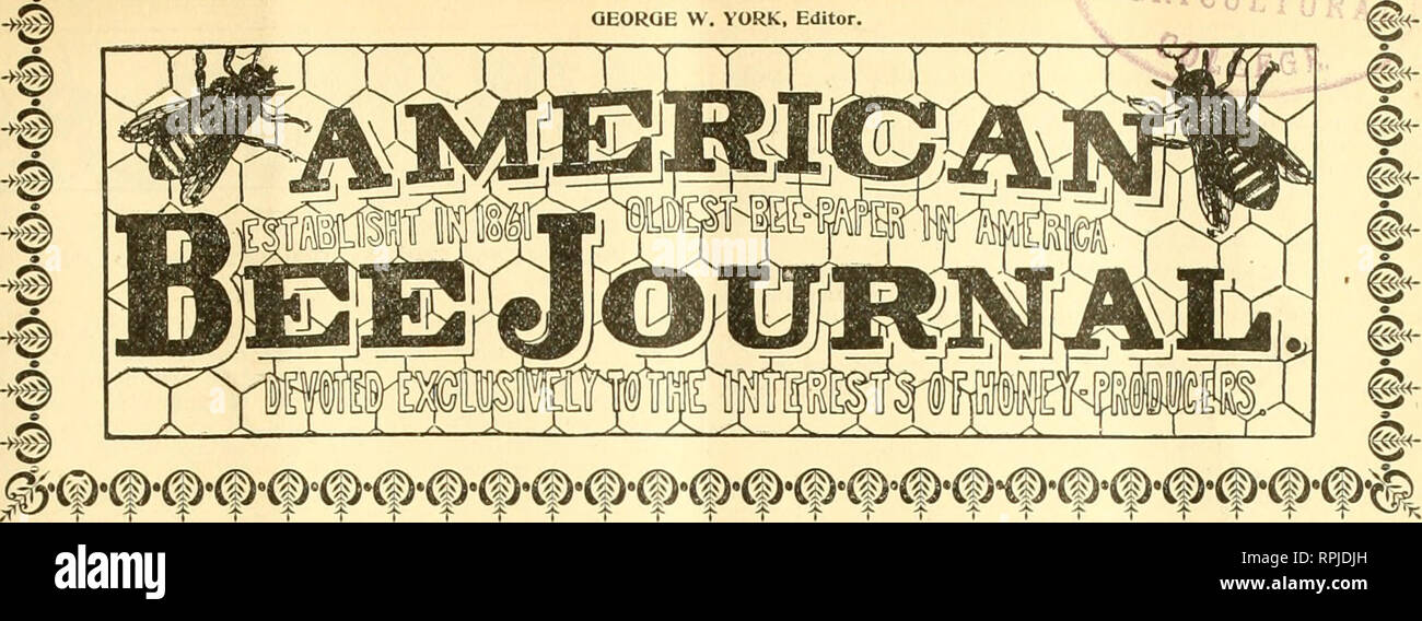 . American bee journal. Cultura de abejas; las abejas. 'L*'>I> OEOROE W. YORK, Editor. 39º año, Chicago, Ill,, 13 de abril de 1899, No 15, ^Sl>i/iAiAi/iAi/I/I/II/VI/tAiAiAl/ViAl/i/^^^ El IIM f " Old Reliable" visto a través de las nuevas gafas y poco fiables. ^^^ : " COGITATOR." ^ No ha entusiasmado a lo largo de eucalipto. El Sr. Prj-al habla y fotografías sobre los eucaliptos (página 129) son muy interesantes y de hecho; y sin embargo no me encuentro obteniendo inuch entusiasmados acerca de ellos. Si un árbol parece una beanpole, y si tenemos que decirle a un compañero, " Esta es una excelente medicina.&q Foto de stock